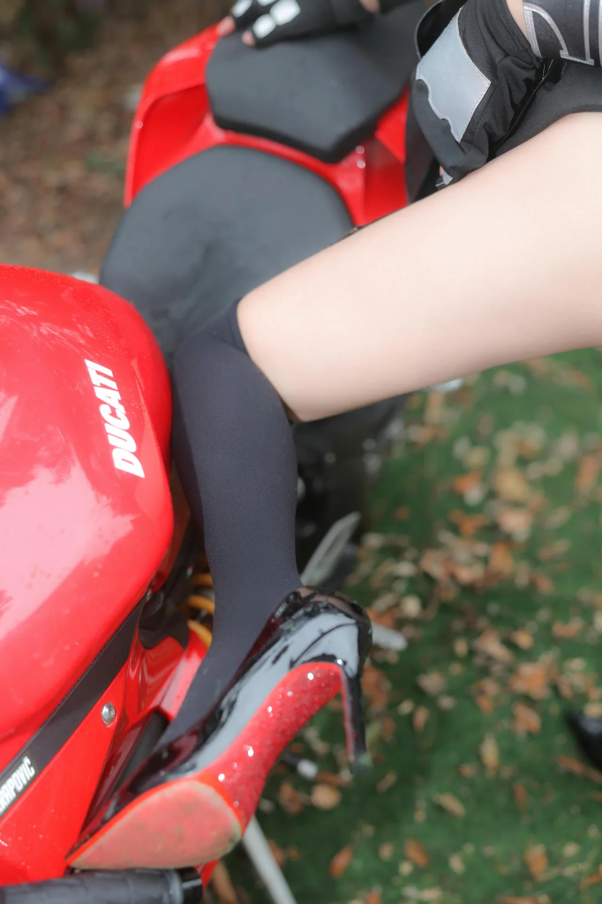 n161_008_bg4_4480_6720.webp